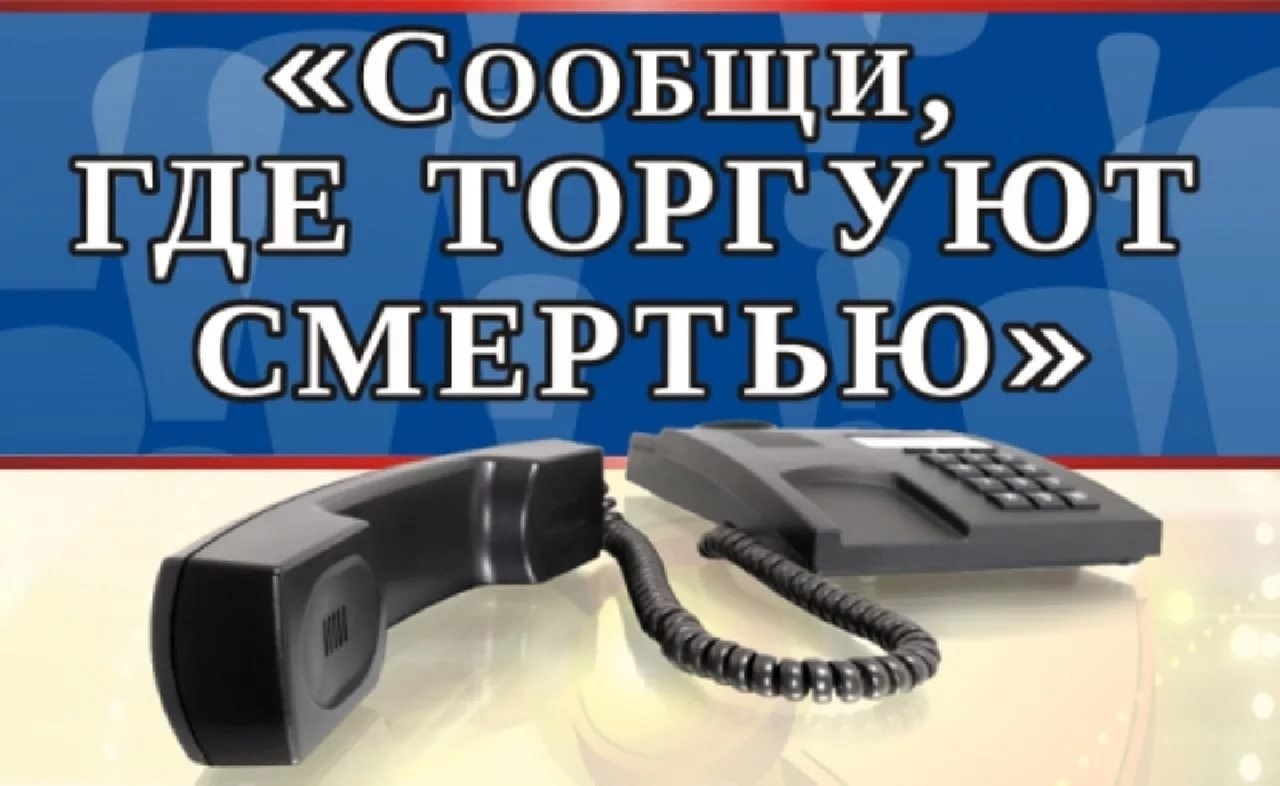Областной центр профилактики и реабилитации принимает участие в акции «Сообщи, где торгуют смертью!»